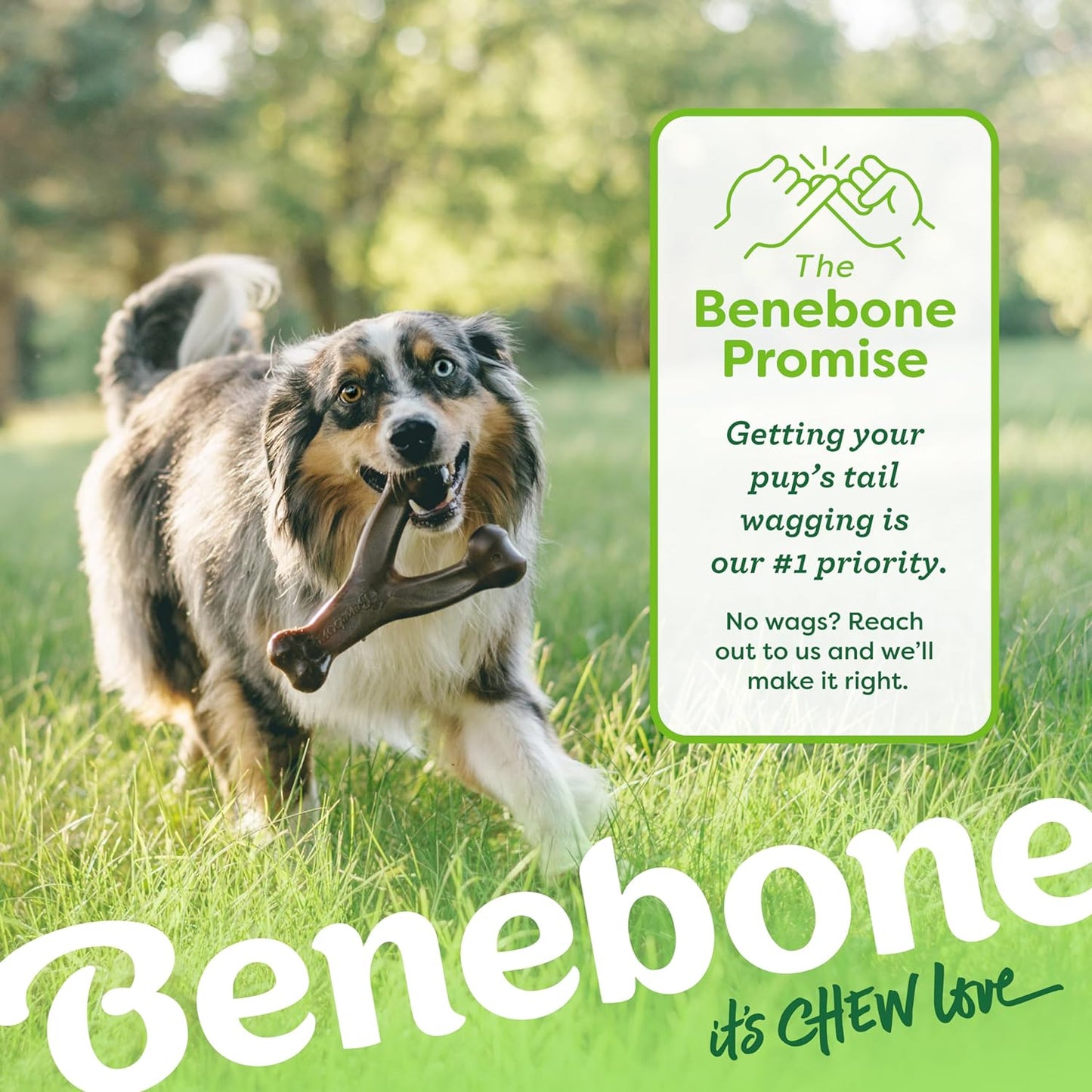 Wishbone Durable Dog Chew Toy