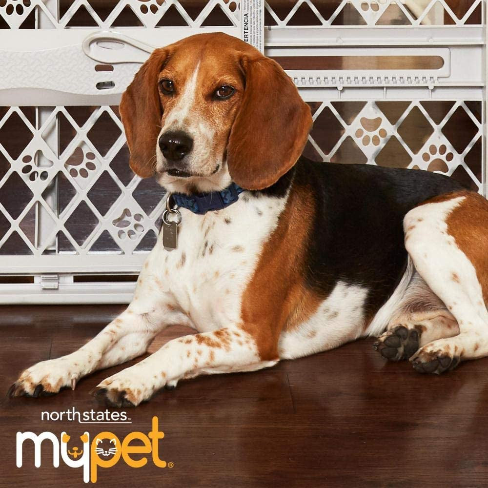 North States Paws Portable Pet Gate