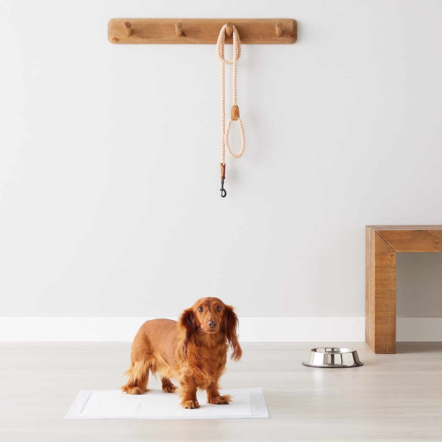 Basics Leak-Proof Dog and Puppy Potty