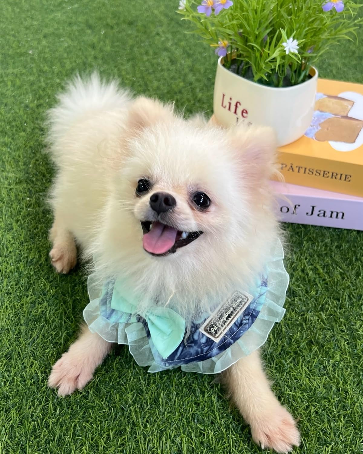 Adorable Tie-Dye Bib with Lace Trim