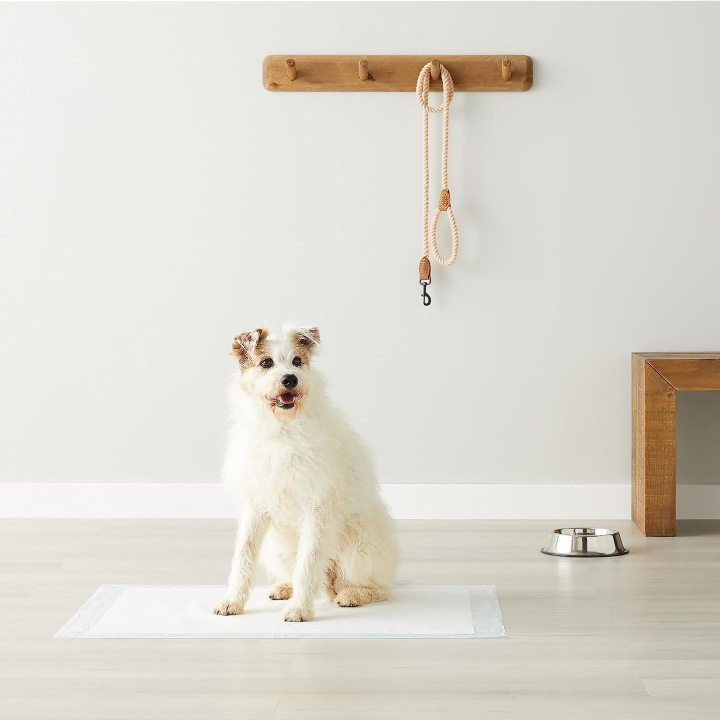Basics Leak-Proof Dog and Puppy