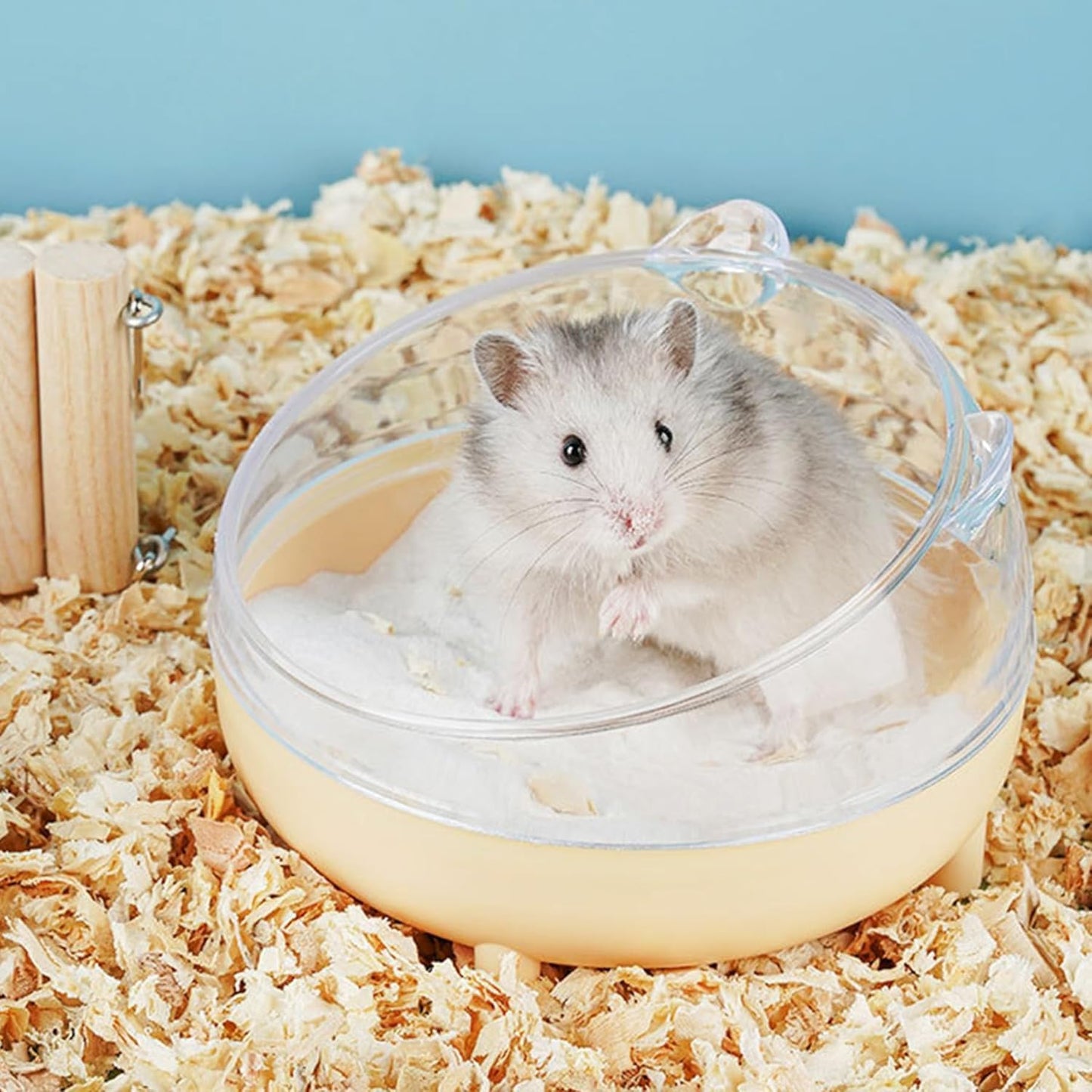 Hamster Sand Bath Container