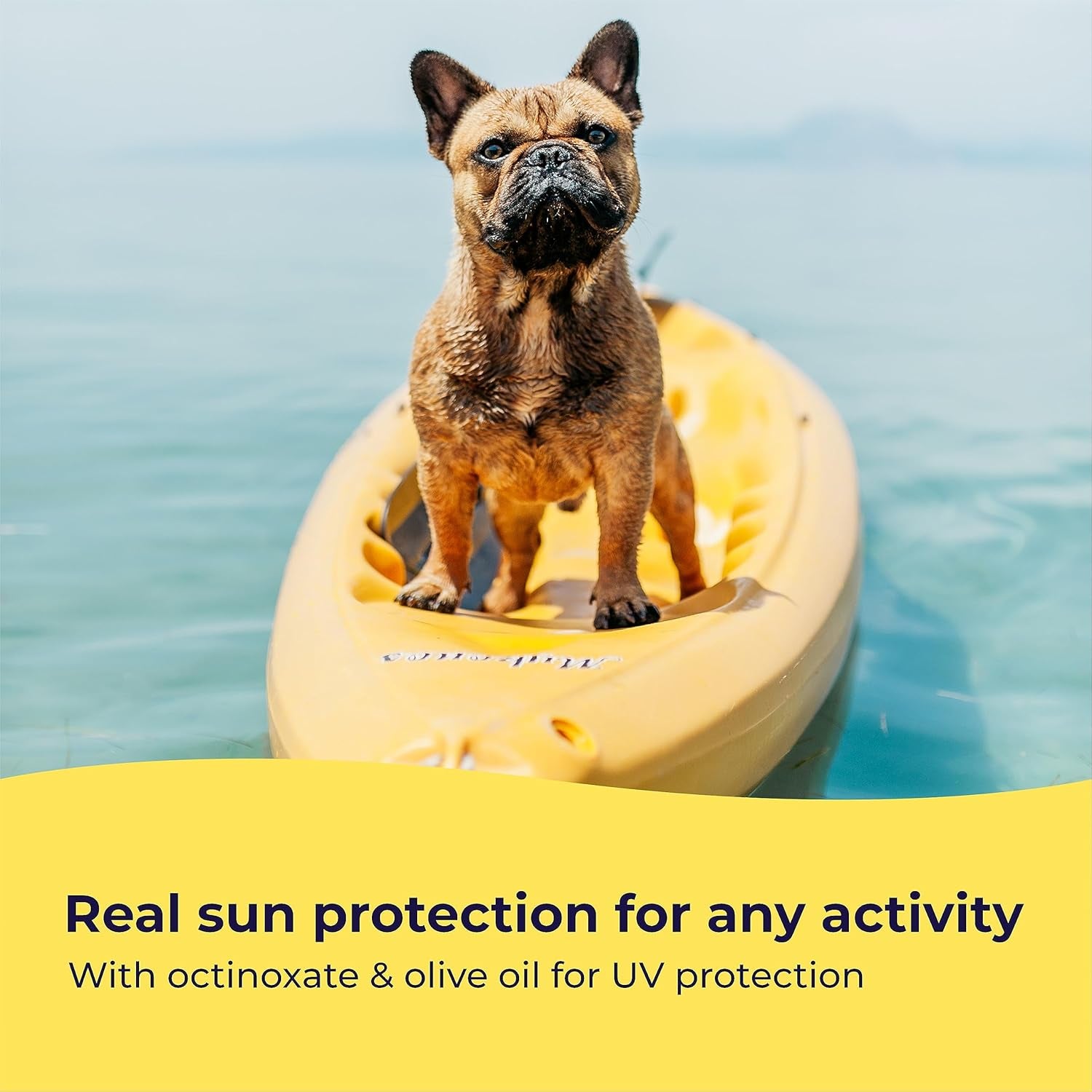 Dog Sunscreen -SPF 30+ with Moisturizing