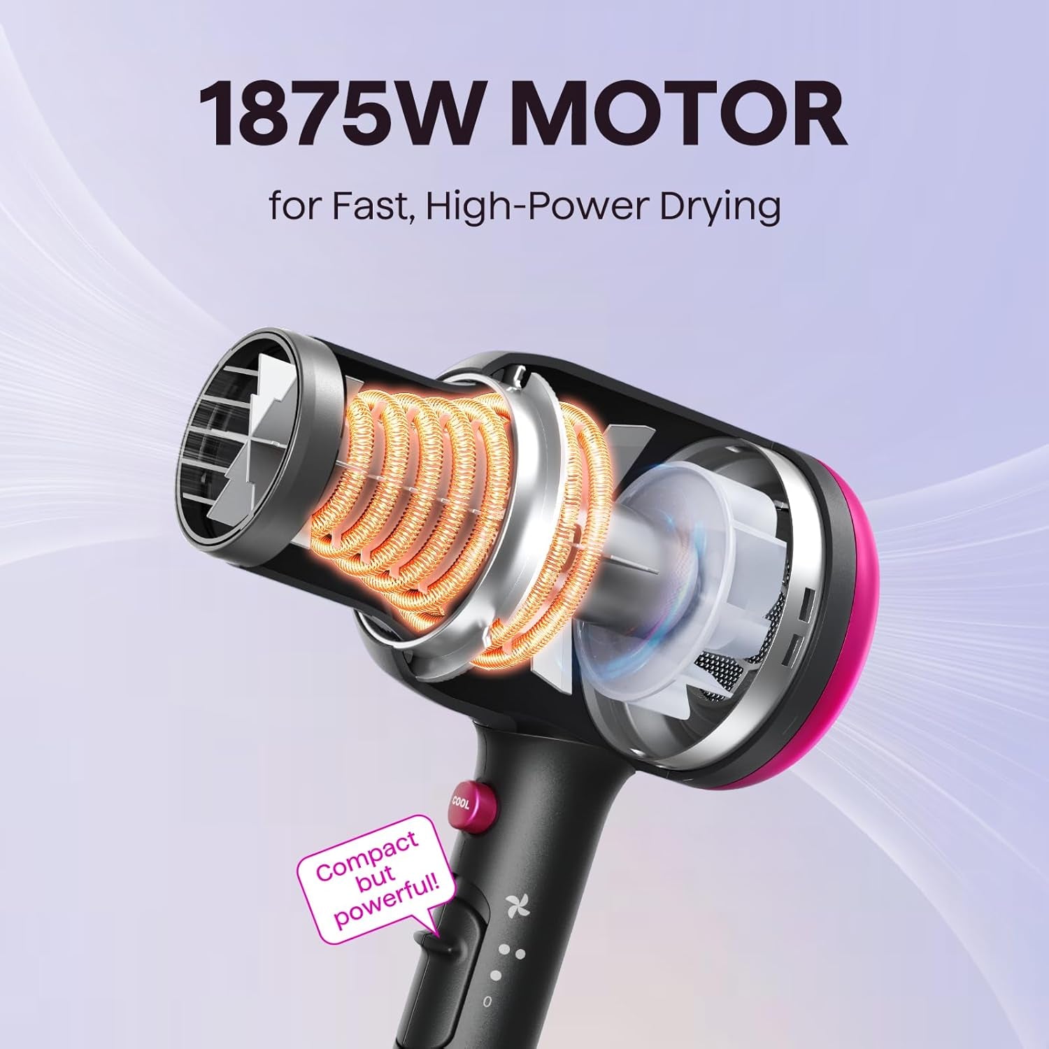 Hair Dryer with Diffuser,Blown Away 