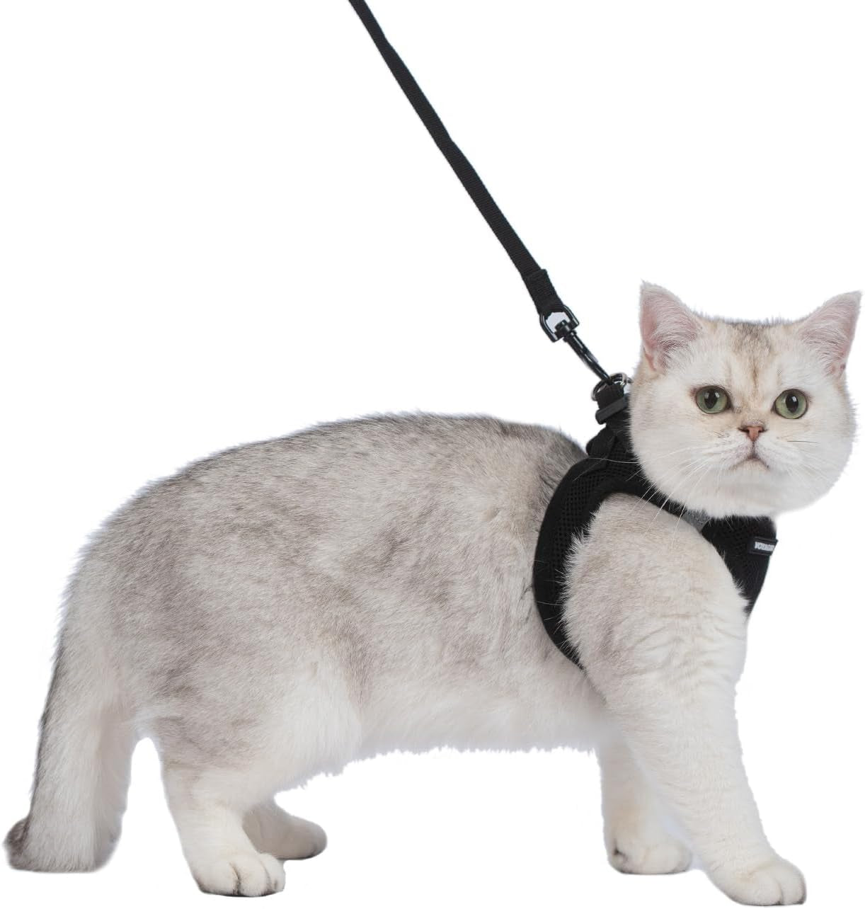 Voyager Step-In Pet Harness All Weather