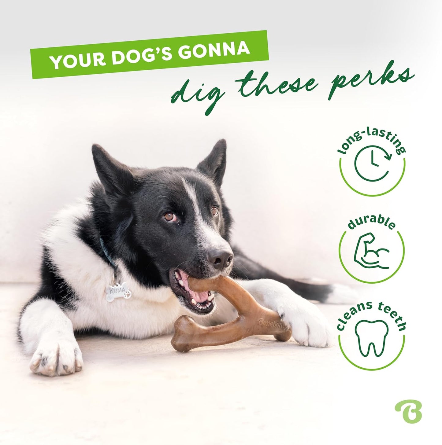Wishbone Durable Dog Chew Toy 