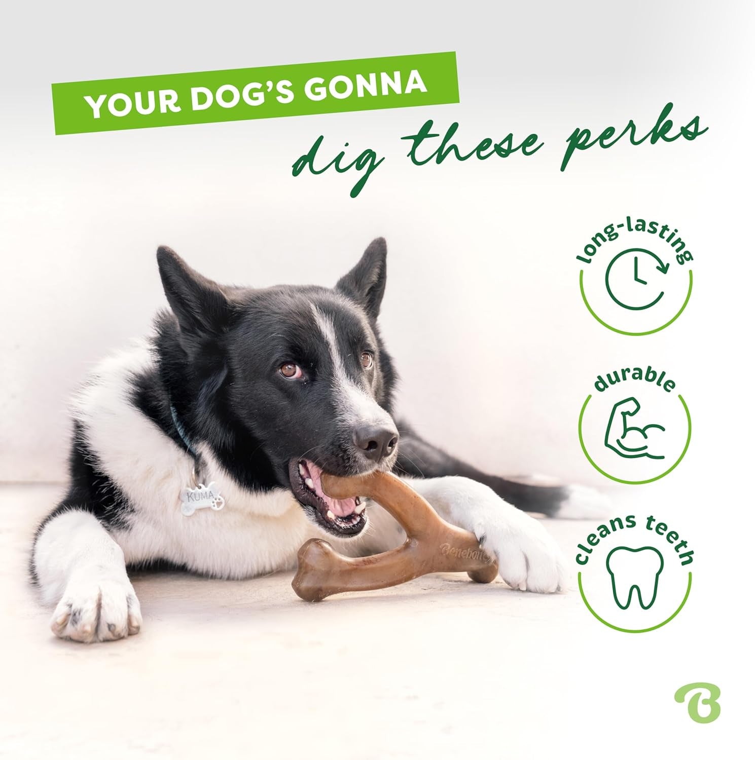 Wishbone Durable Dog Chew Toy 