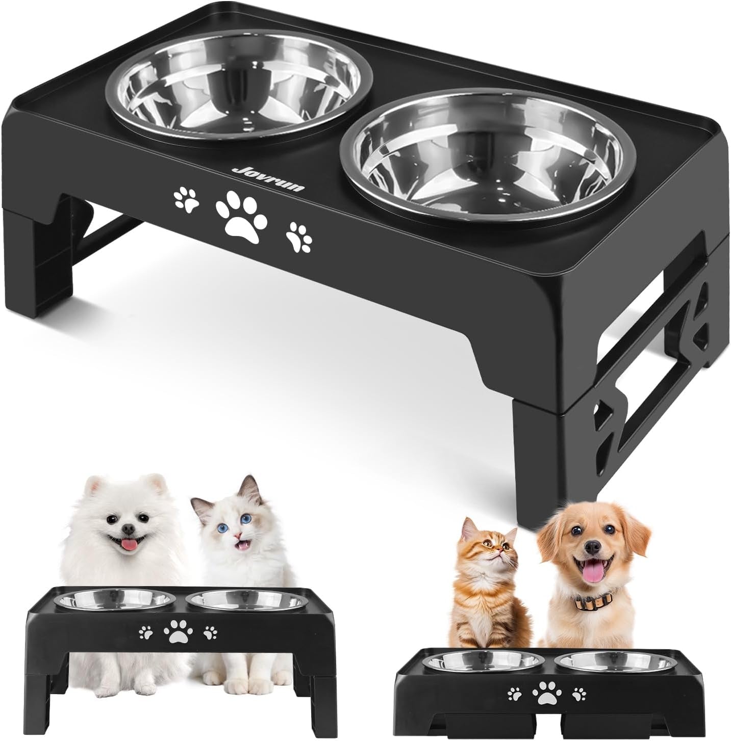 Elevated Dog Bowls for Small Dogs 