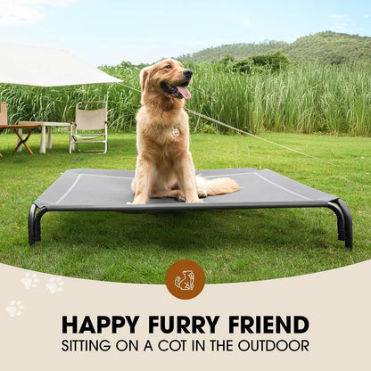 Elevated Dog Bed, Raised Outdoor Dog Bed