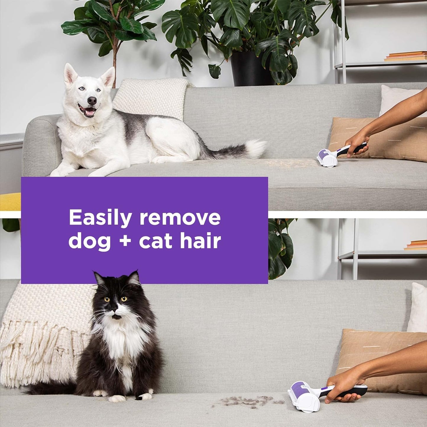 Pet Hair Remover, Roller, Remove Dog