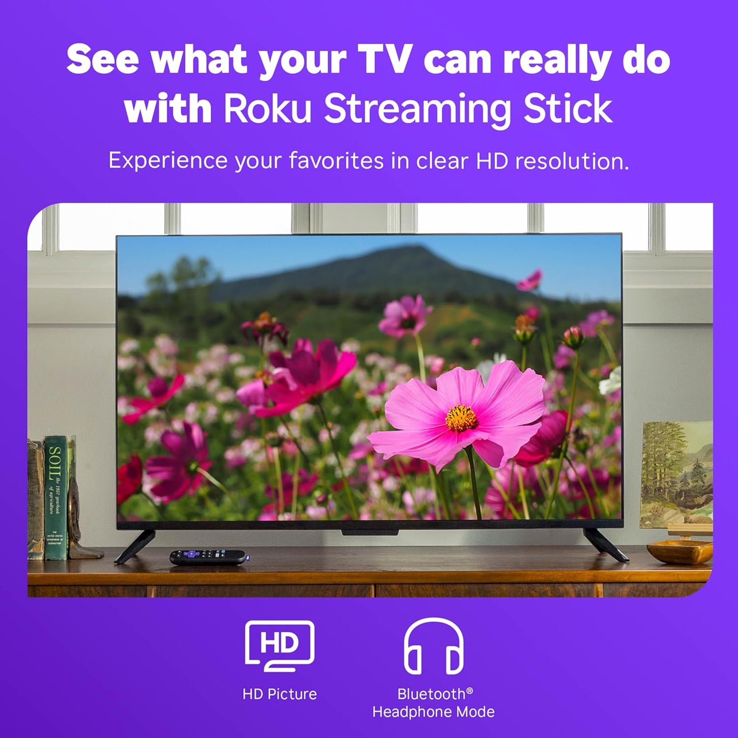 Streaming Stick HD  HD Streaming Device