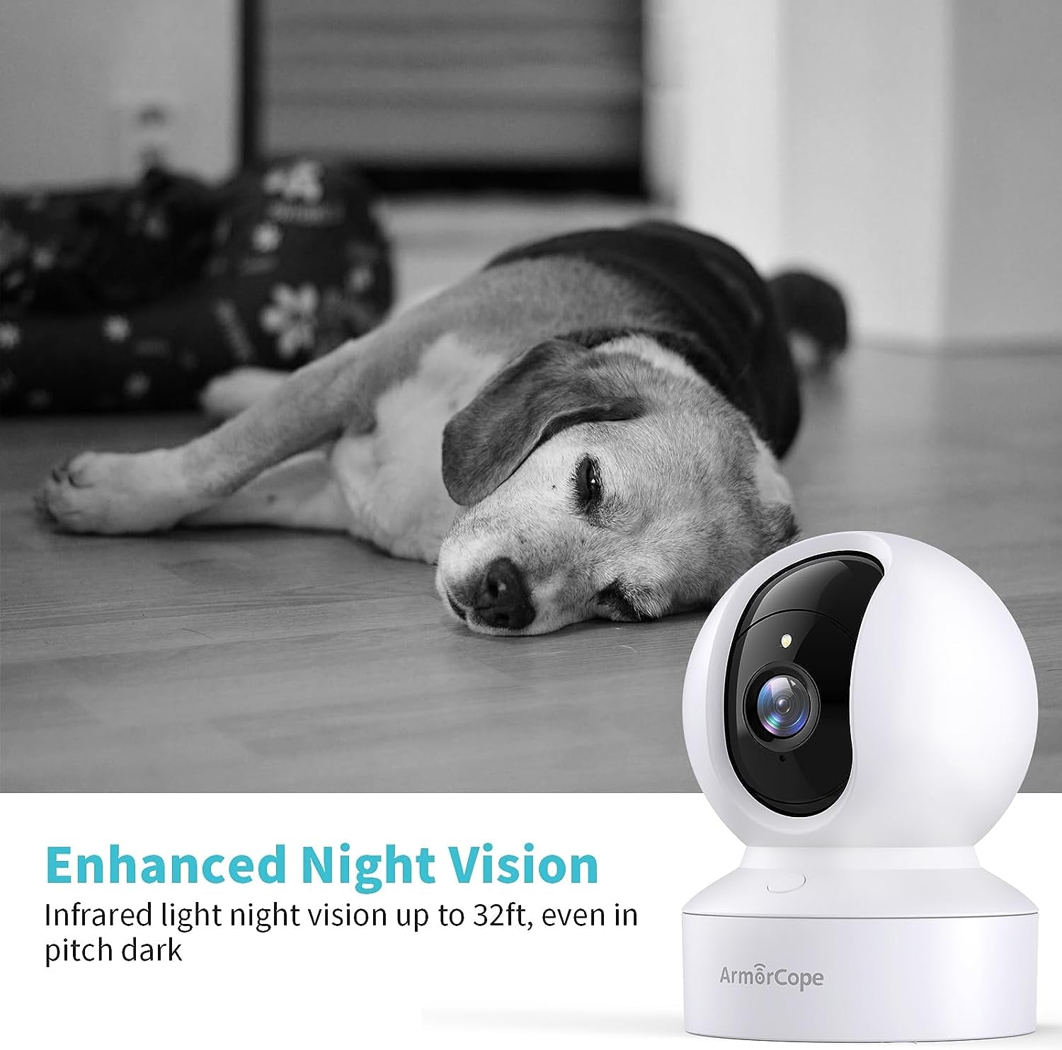 Pet Camera2K HD Dog Camera with Phone AP