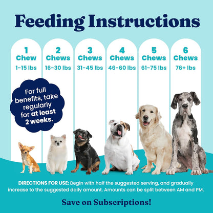 Dog Allergy Relief Chews - Dog Itching