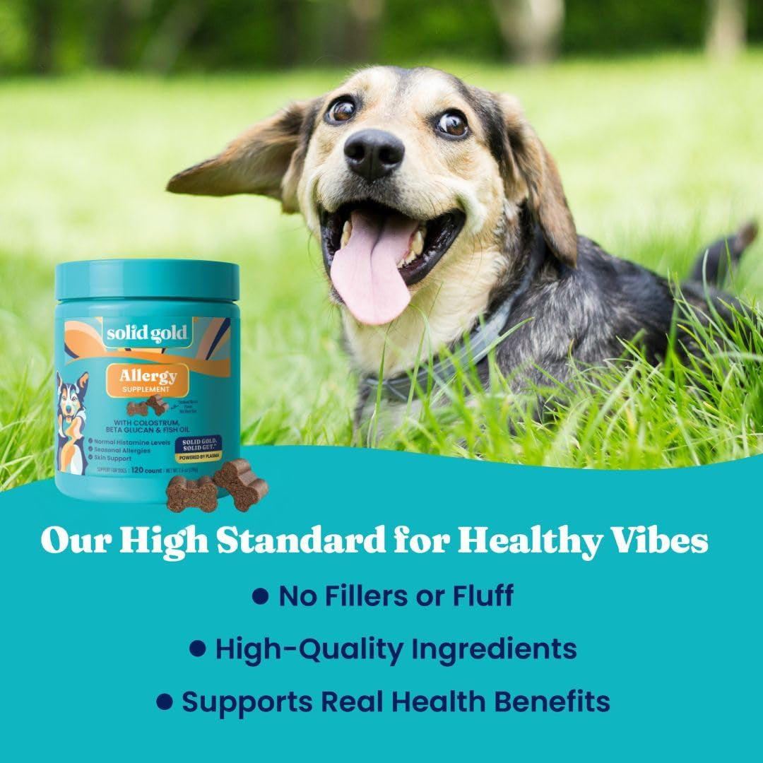 Dog Allergy Relief Chews - Dog Itching