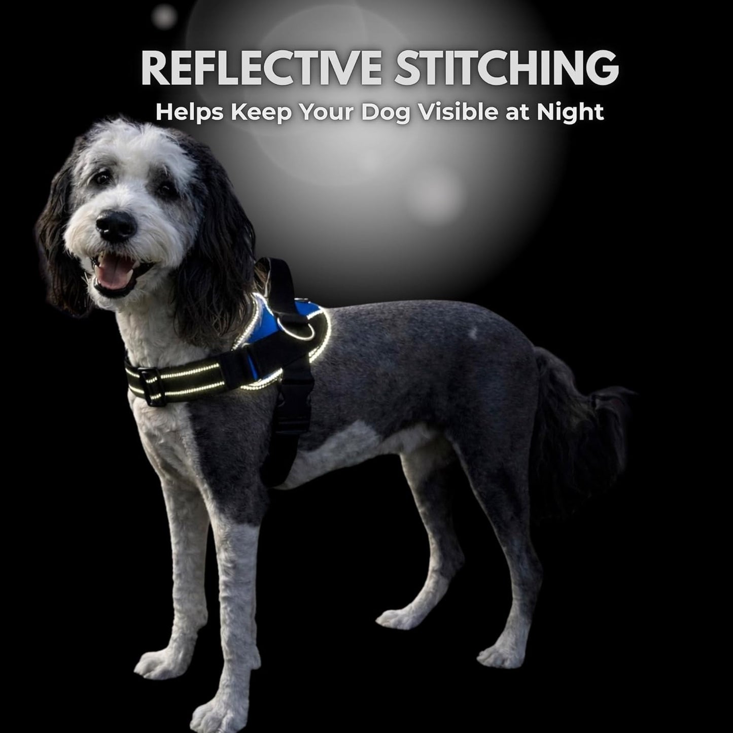 Essential Dog Harness, No-Pull Pet Vest 