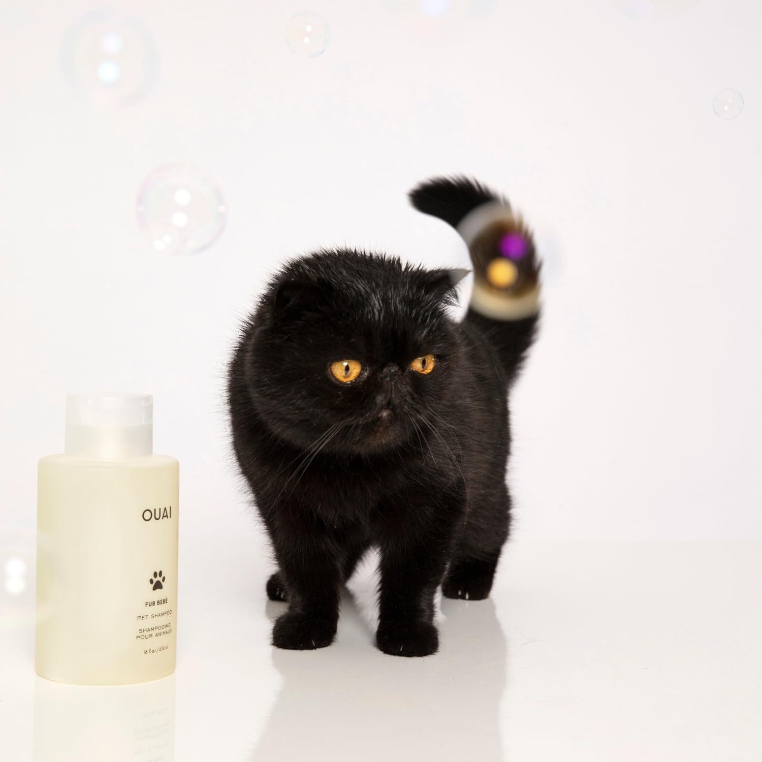 Fur Bébé Pet Shampoo - Cat & Dog Shampoo