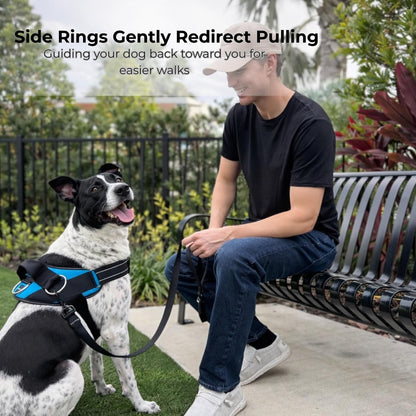 Essential Dog Harness, No-Pull Pet Vest 