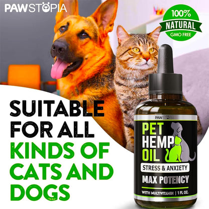 (2 Pack) Hemp Oil for Dogs and Cats 