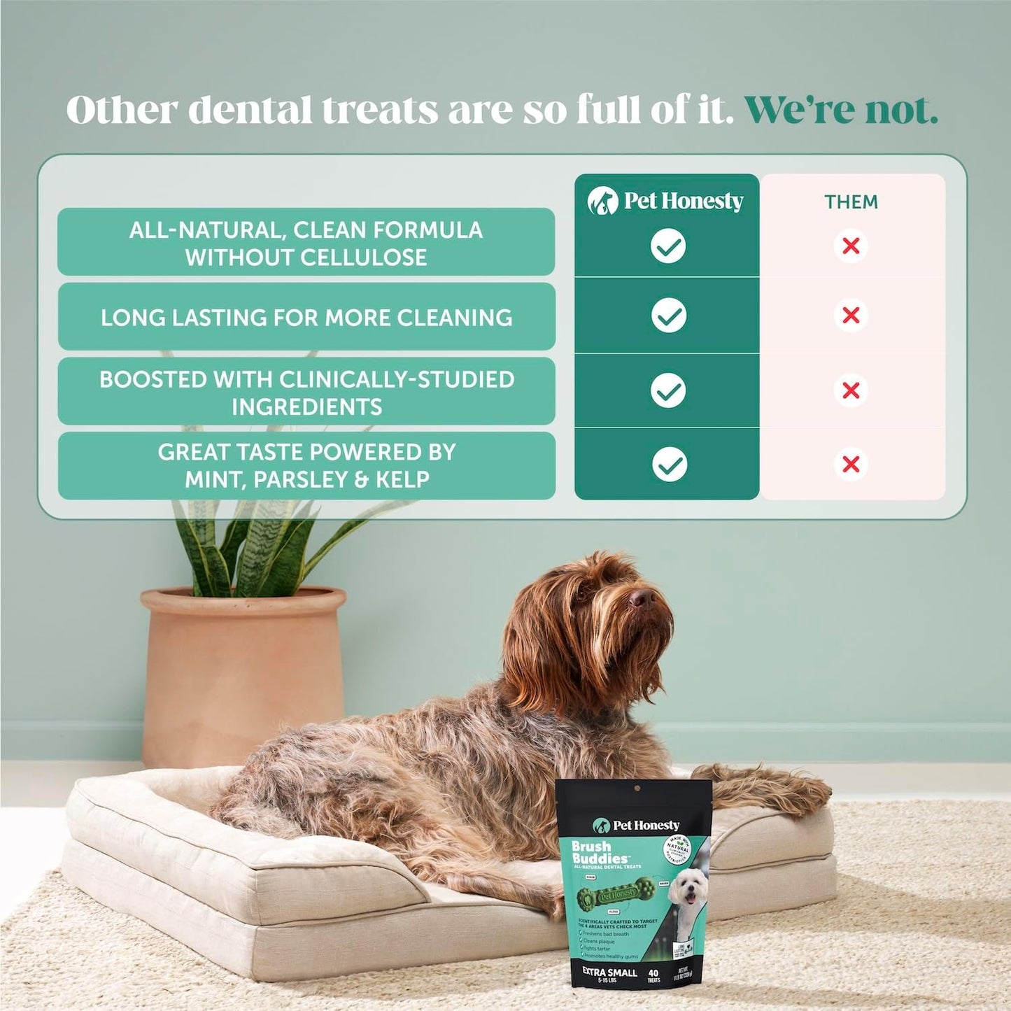 Brush Buddies All Natural Dog Dental 