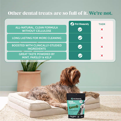 Brush Buddies All Natural Dog Dental 