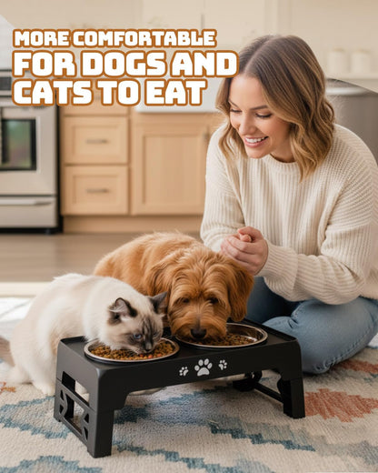 Elevated Dog Bowls for Small Dogs 