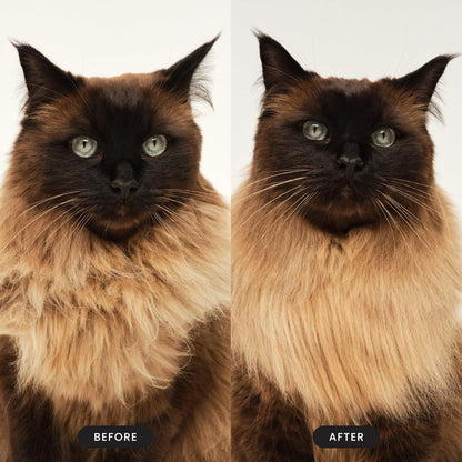 by  Cat Brush,De-Shedding Cat Hair Brush