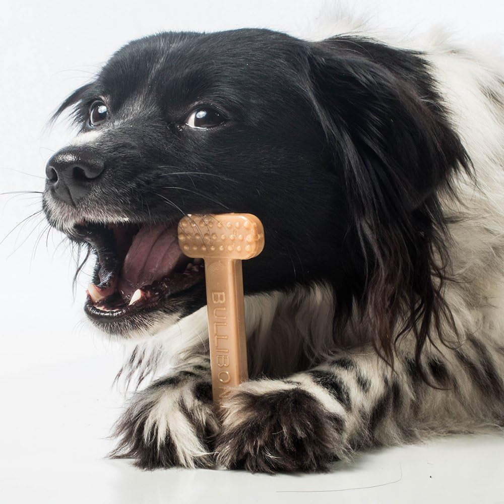 Nylon Dog Chew Toy for Aggressive Chewer