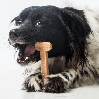 Nylon Dog Chew Toy for Aggressive Chewer