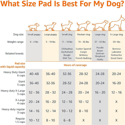 Basics Leak-Proof Dog and Puppy Potty
