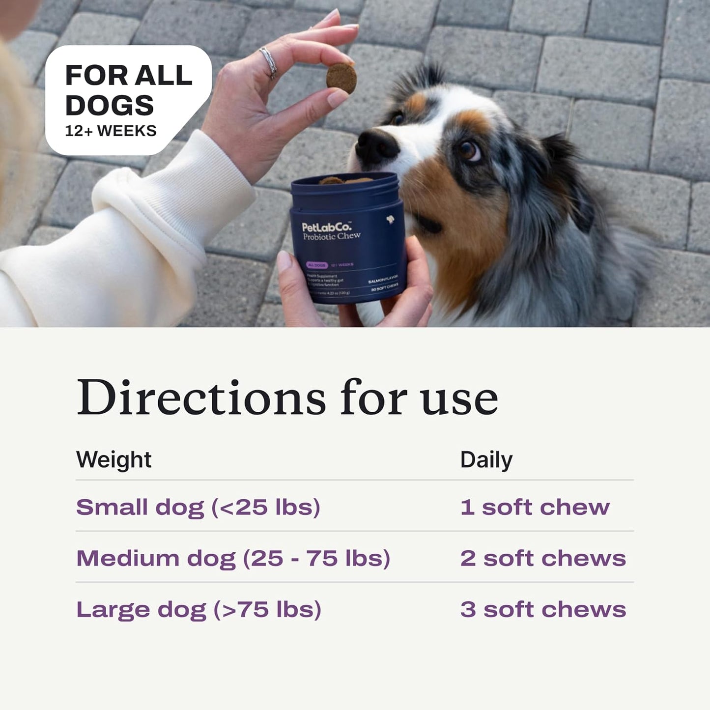 Probiotics for Dogs, Support Gut Health