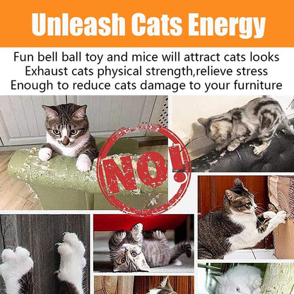 21 Pcs Cat Toys for Indoor Cats Collapsible