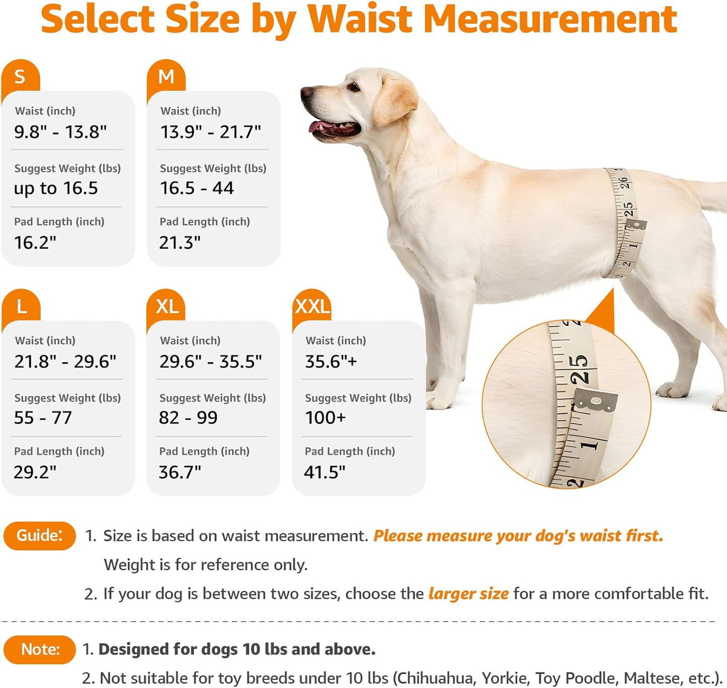Portable Dog Sling for Back Legs
