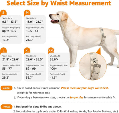 Portable Dog Sling for Back Legs