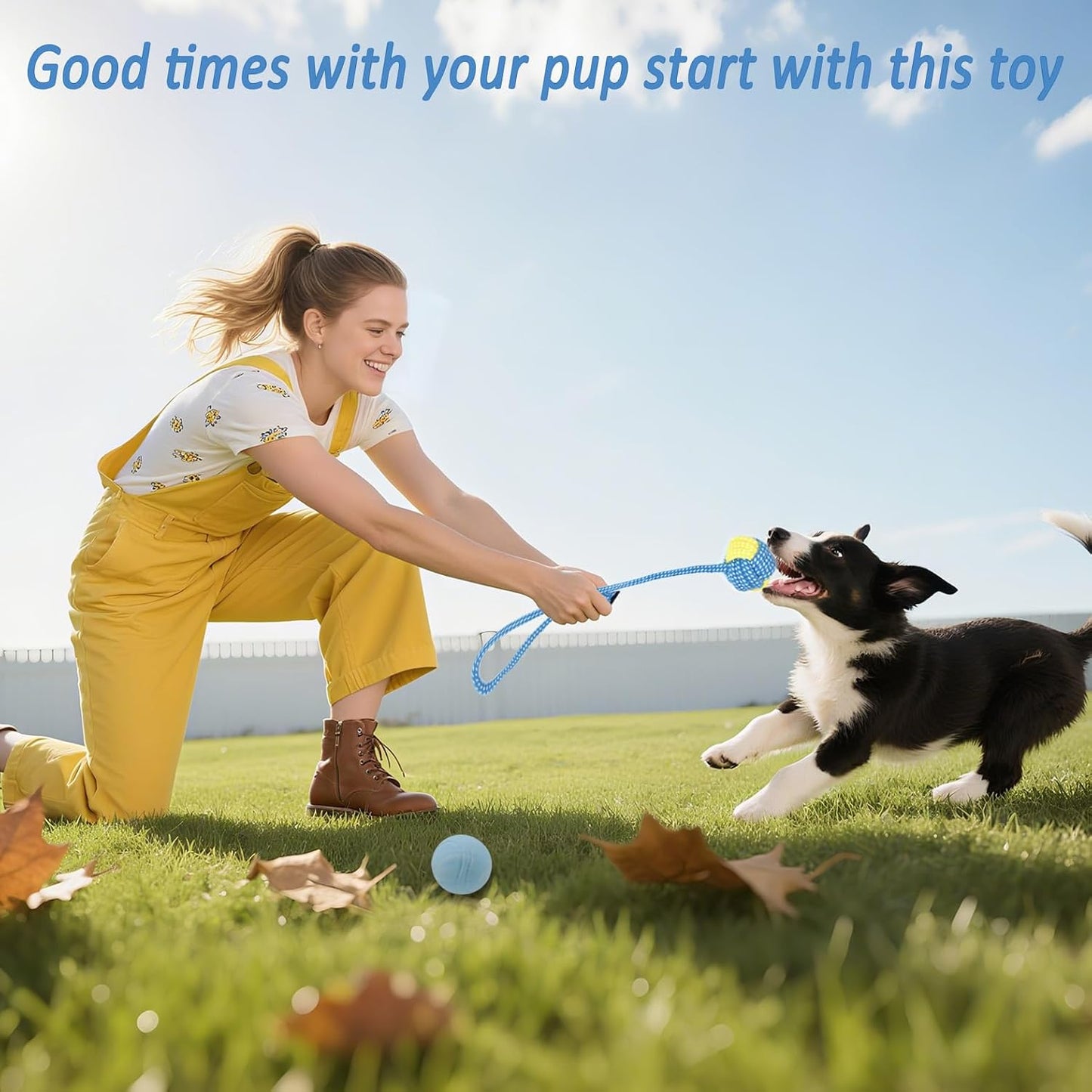 20 Pack Puppy Chew Toys - Blue Dog