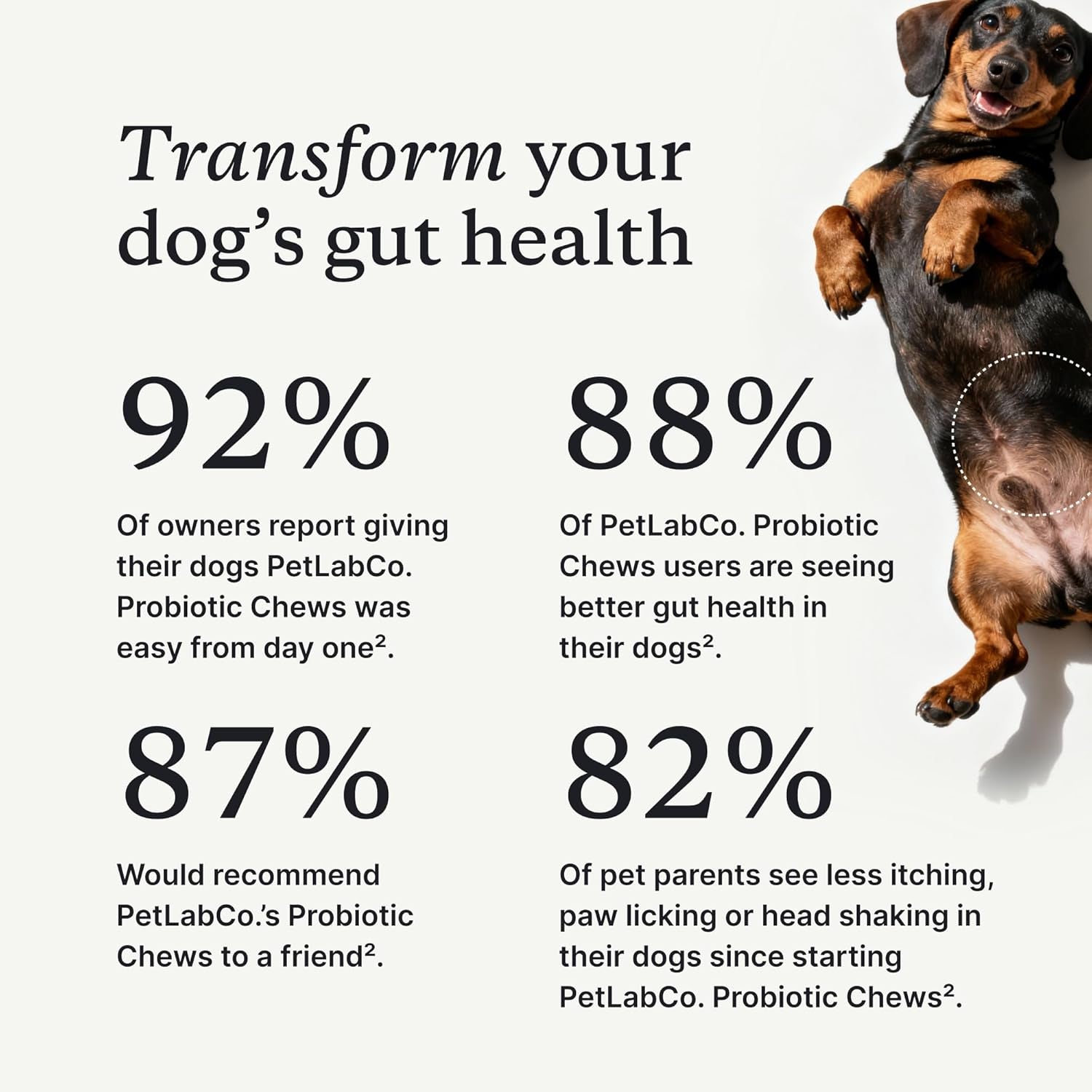 Probiotics for Dogs, Support Gut Health
