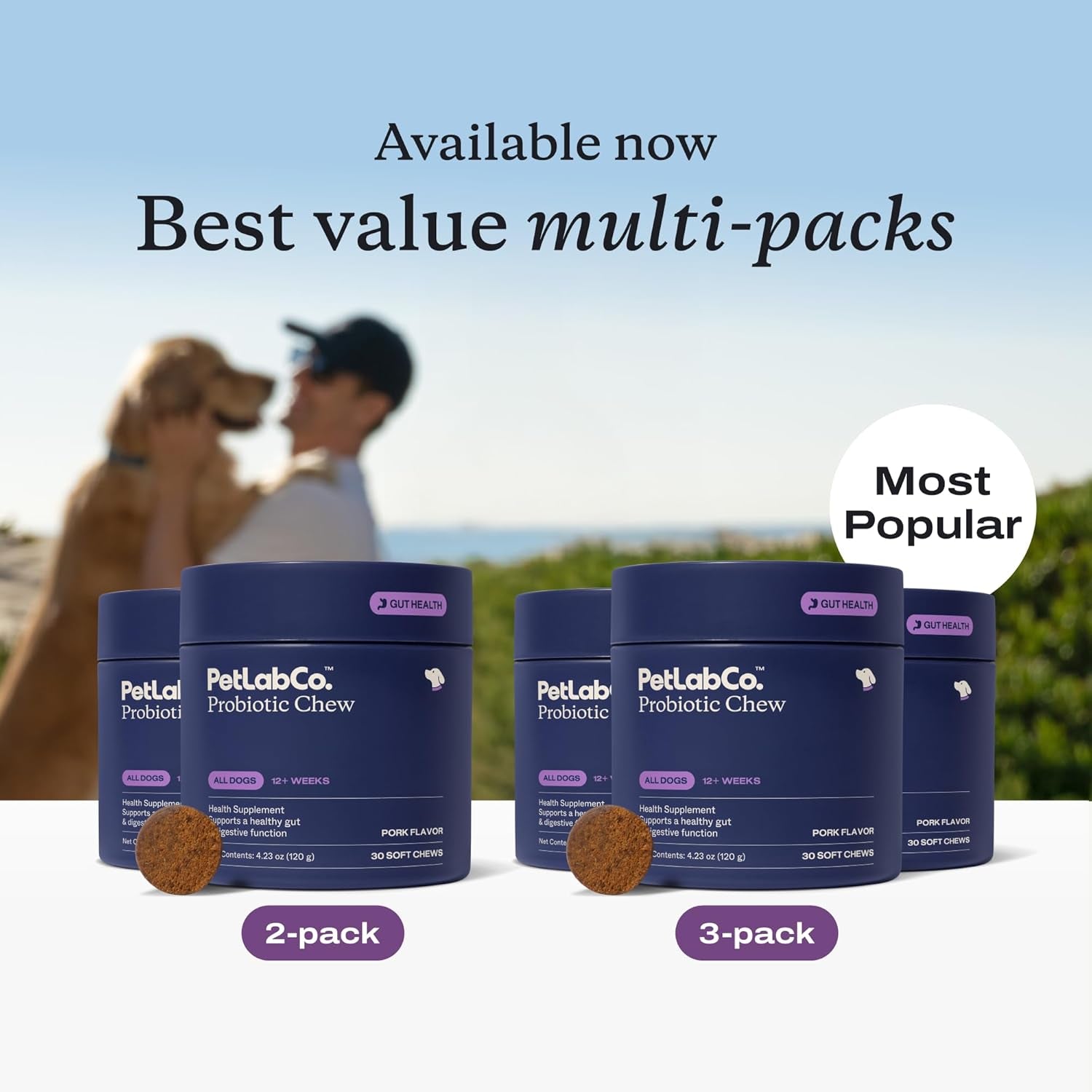 Probiotics for Dogs, Support Gut Health