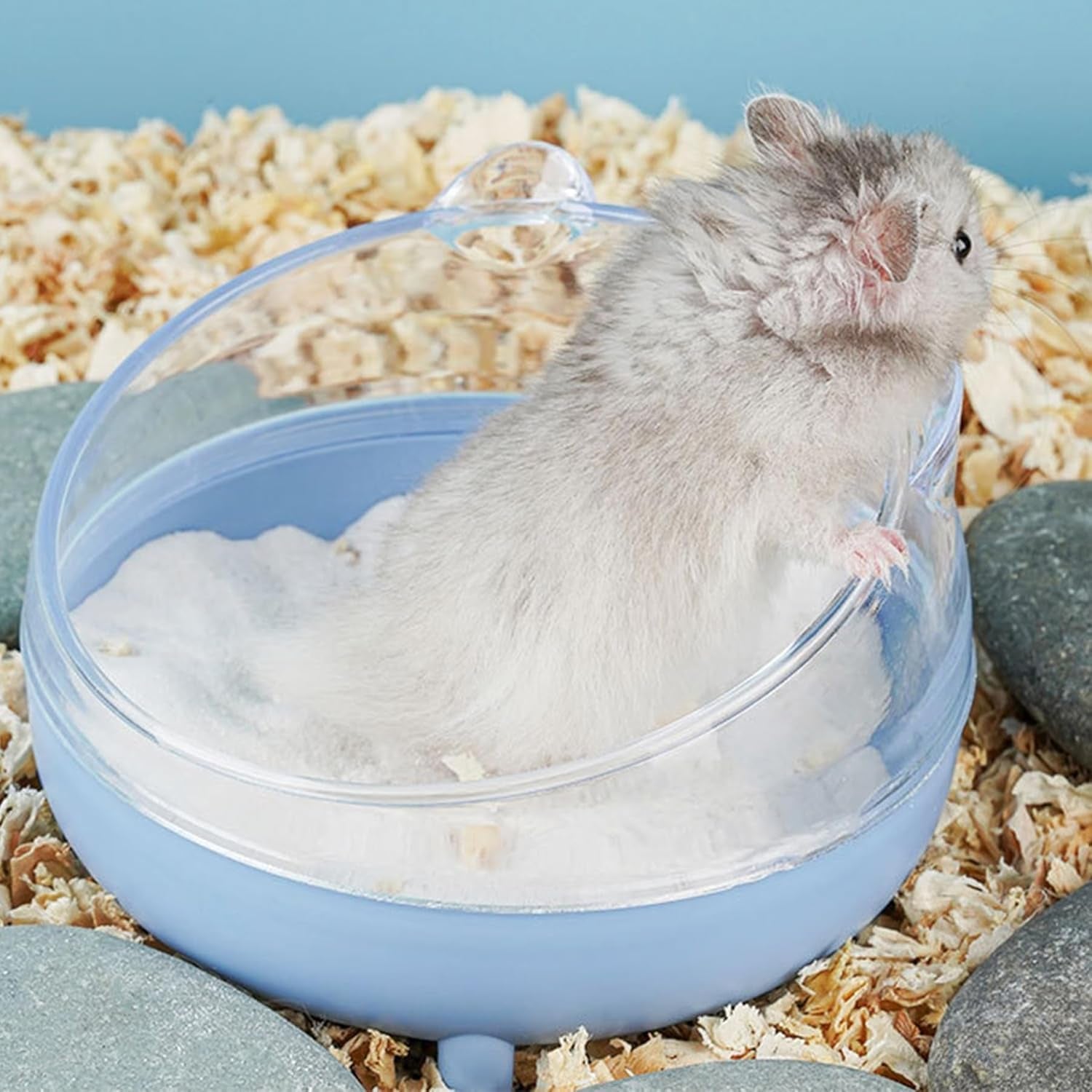 Hamster Sand Bath Container