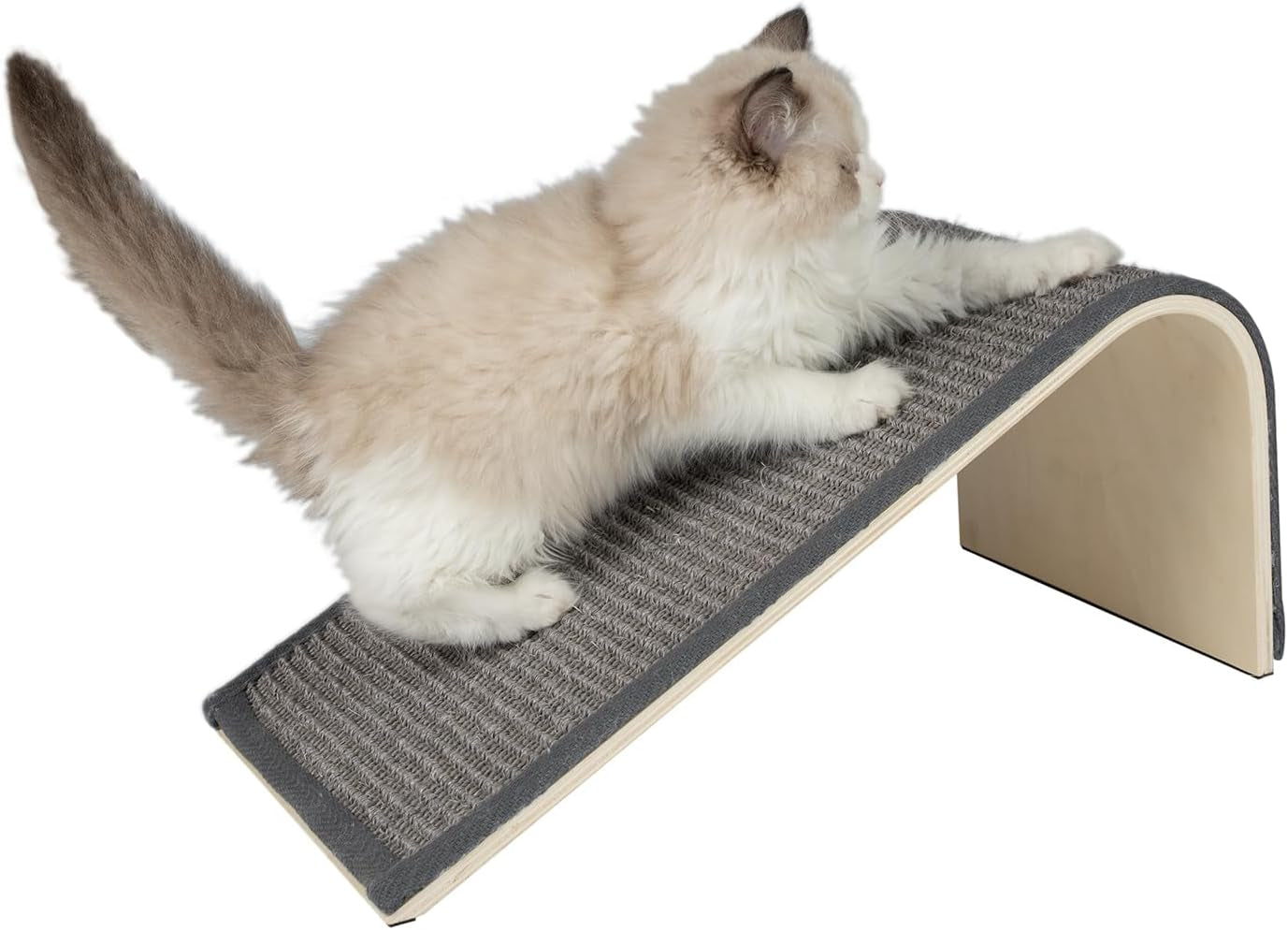 Catify Cat Scratcher Fun Interactive 