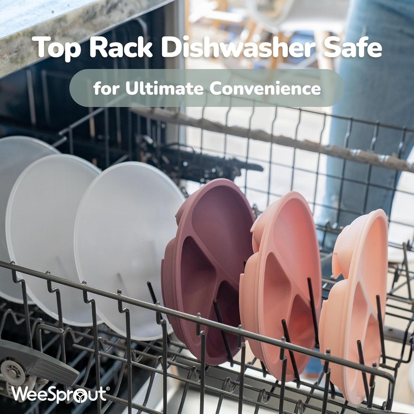 Suction Plates for Babies & Toddlers 