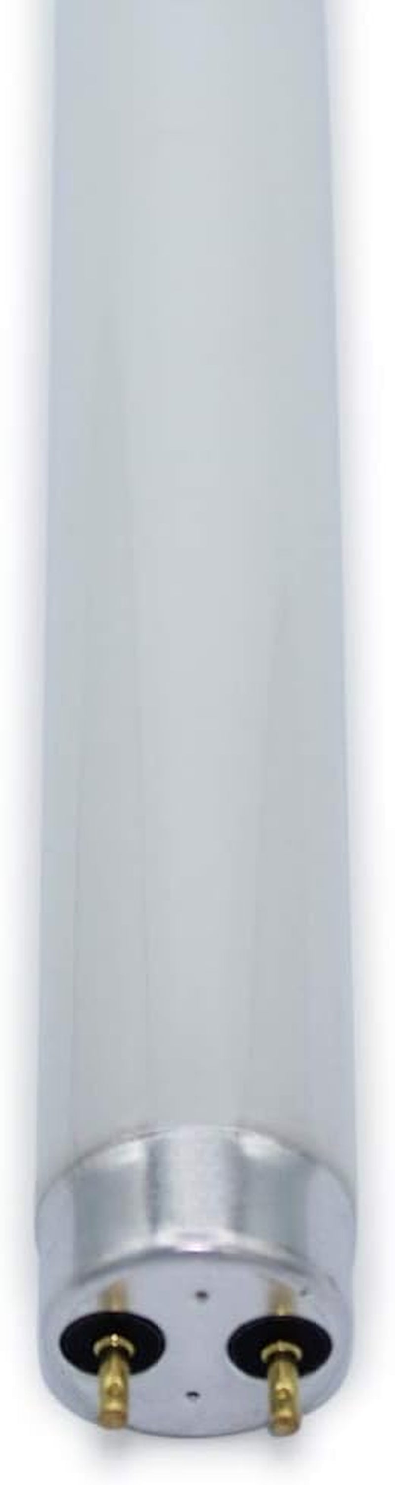 F10T8/BL Bug Zapper Light Bulbs 10 Watt