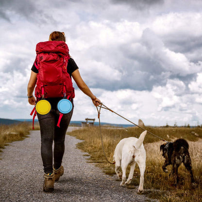 Collapsible Dog Bowl for Travel (12Oz)