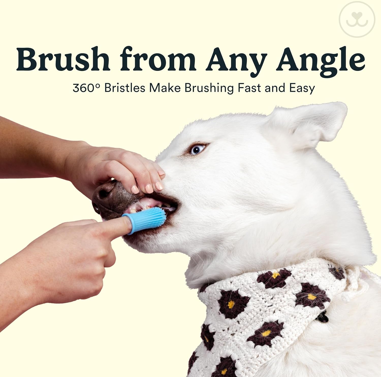 Dog Toothbrush360 Dog Tooth Brushing Kit
