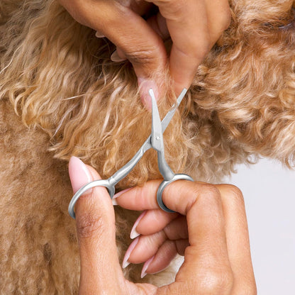 Pet Grooming Scissors, Stainless Steel