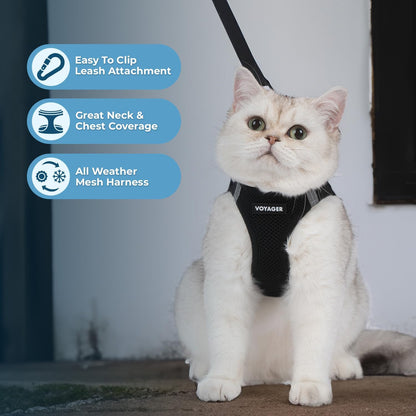Voyager Step-In Pet Harness All Weather