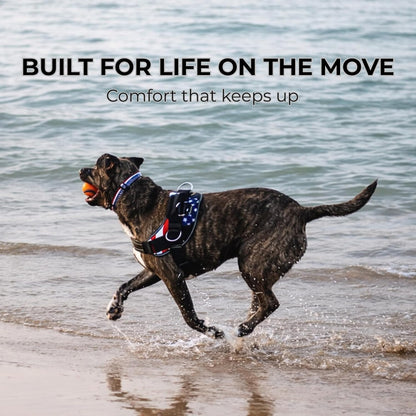 Essential Dog Harness, No-Pull Pet Vest 