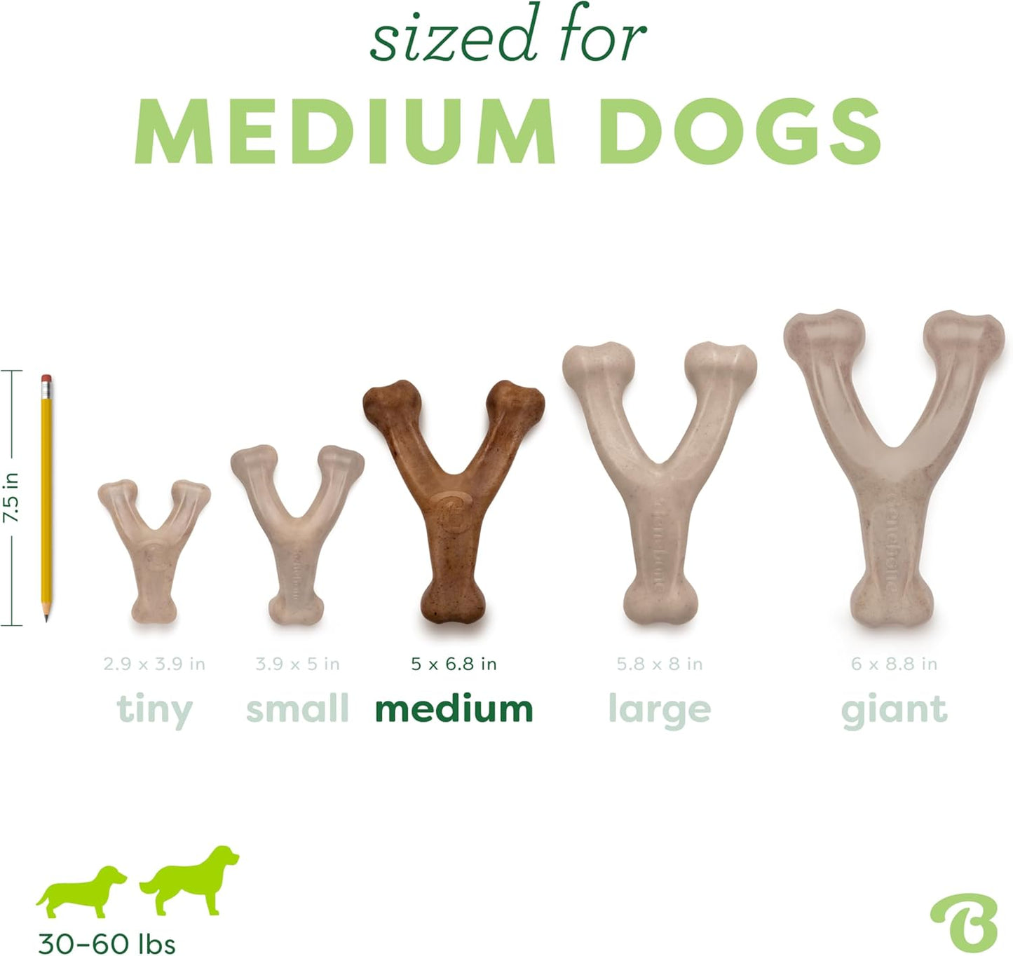Wishbone Durable Dog Chew Toy 