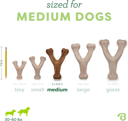 Wishbone Durable Dog Chew Toy 