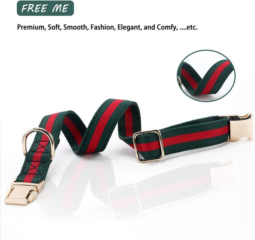Premium Dog Collar, Cute Dog Collars