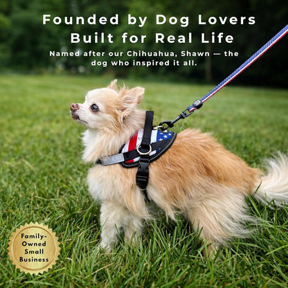 Essential Dog Harness, No-Pull Pet Vest 