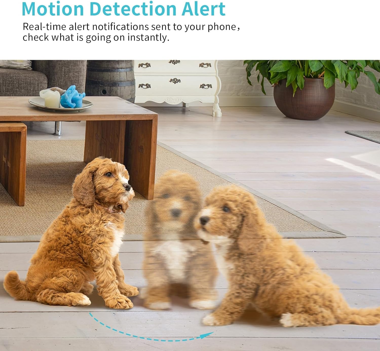 Pet Camera2K HD Dog Camera with Phone AP